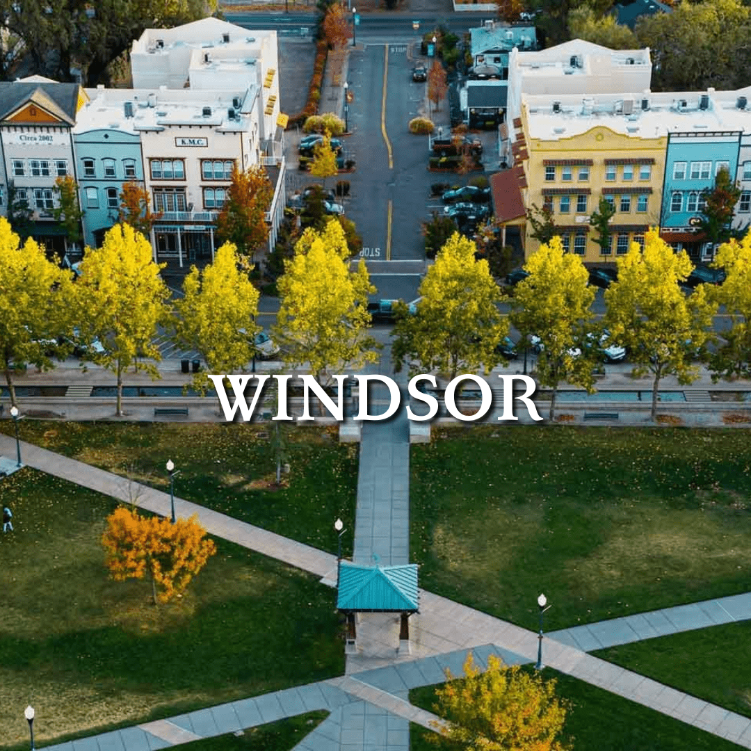 windsor photo