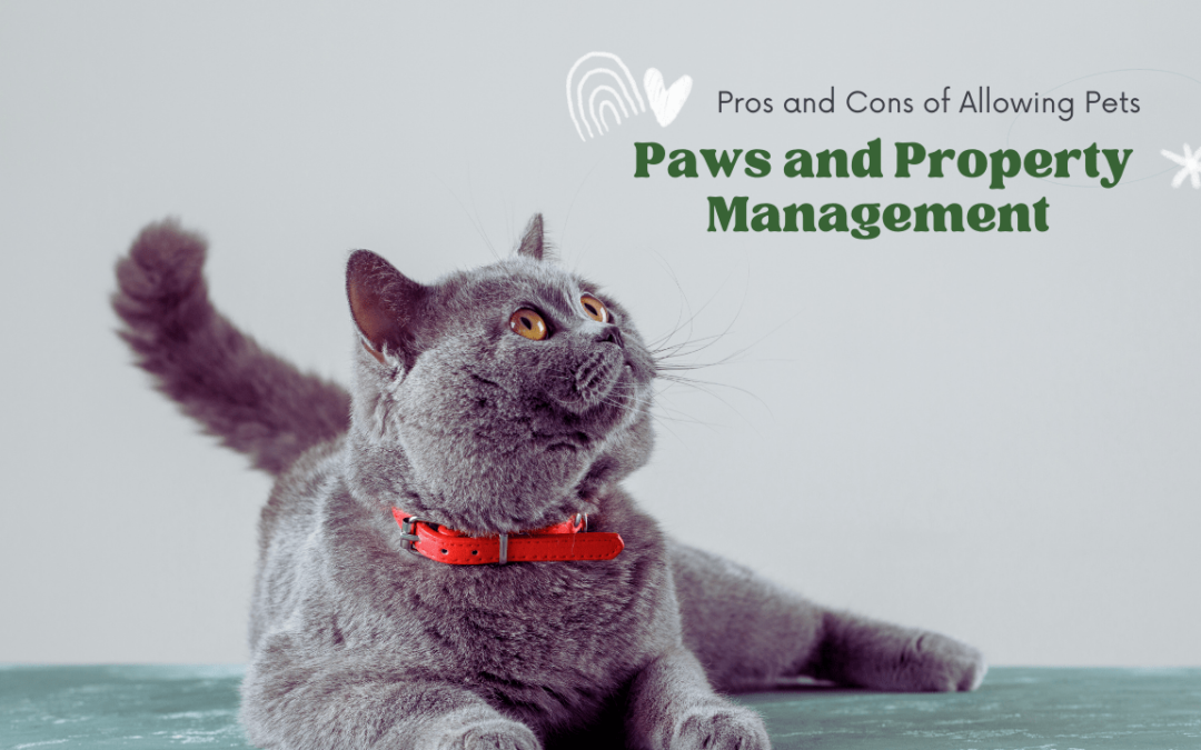Paws and Sonoma County Property Management: Pros and Cons of Allowing Pets
