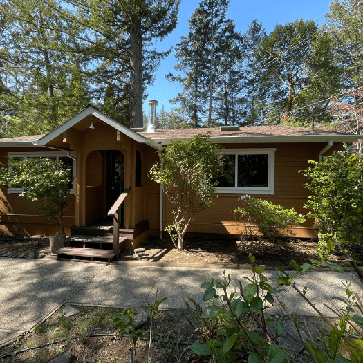 house in the woods-min house in the woods