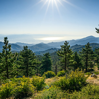 Local Santa Rosa Property Management Experts